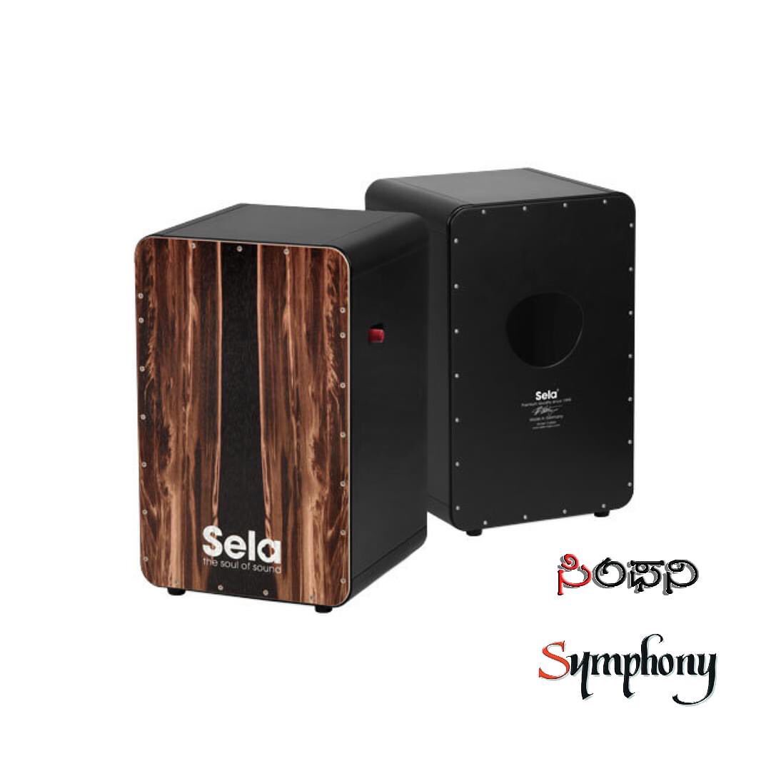 Sela Snare Cajon